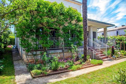 Olivia apartment, Zambratija