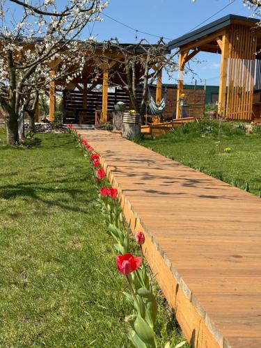 a row of red flowers on a wooden walkway at Czereśniowe Wzgórze Sandomierz jakuzzi in Sandomierz