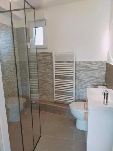 a bathroom with a glass shower and a toilet at Gite des 3 cigognes in Colmar