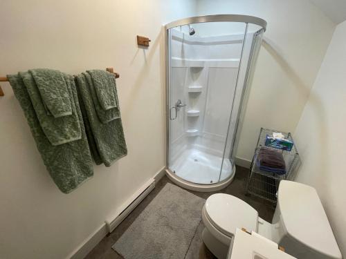 a bathroom with a shower and a toilet and towels at Blue HIll Apartment in the Woods in Blue Hill