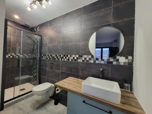 a bathroom with a sink and a toilet and a mirror at Villas Floryanne in Parentis-en-Born