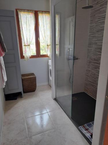 une salle de bain avec une douche avec une porte vitrée dans l'établissement Casa Ghjuvanna, à Galéria
