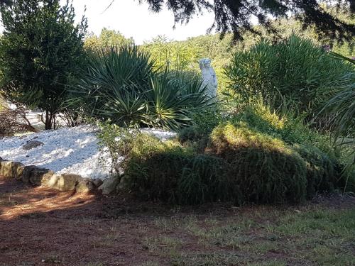 un jardin avec des plantes et un mur de pierre dans l'établissement vintage, à Saint-Hilaire-de-Brethmas