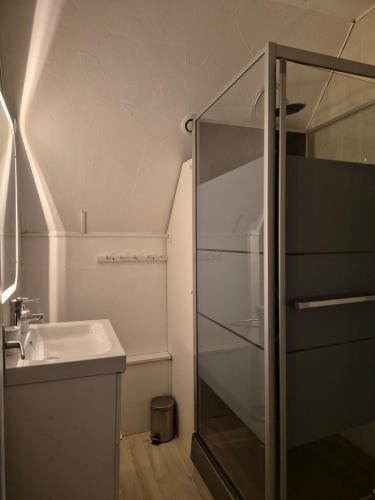 une salle de bain avec un lavabo et une douche en verre dans l'établissement Le Hameau des Cardenals, à Salviac