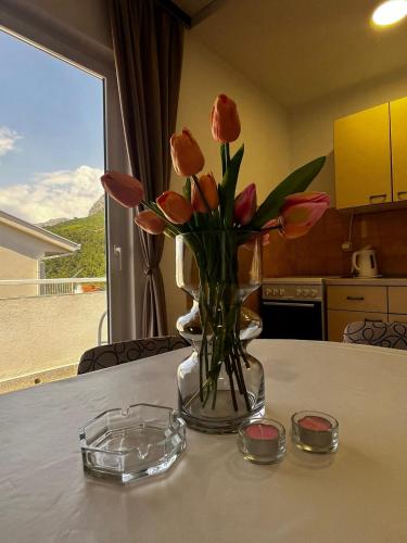 Kuchyň nebo kuchyňský kout v ubytování Apartmani podaca