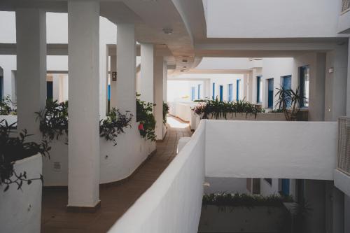 ein Flur in einem Gebäude mit Topfpflanzen in der Unterkunft Sea view apartment with great terrace and 4 pools - Duquesa Suites 430 in Manilva