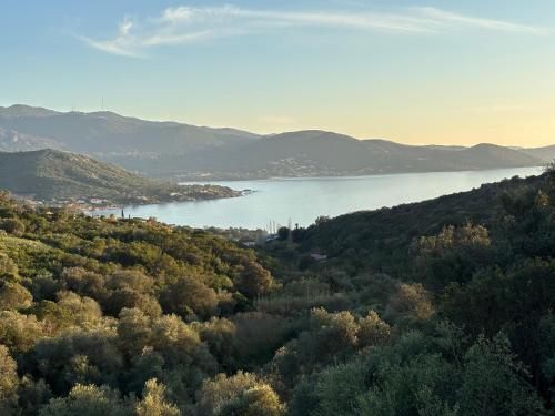 Les Terrasses de Ruppione - Villa Restonica