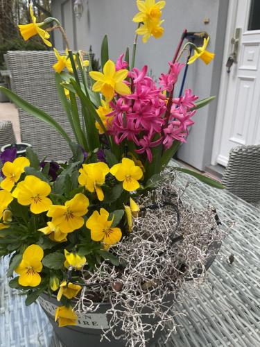 a vase filled with yellow and purple flowers on a table at Waldtraum Wandlitzsee in Wandlitz