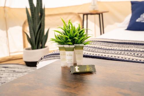 a table with two potted plants on top of it at Grotto Getaway in Miller Lake