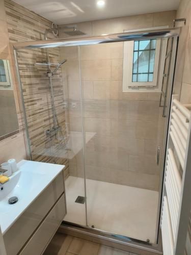 une salle de bain avec douche et lavabo dans l'établissement La Brise Marine ~ 300m mer~Piscine~Clim~Wifi~Calme, à Argelès-sur-Mer