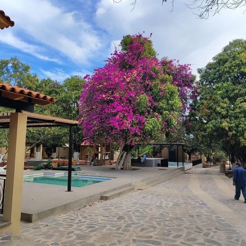 a tree with pink flowers next to a swimming pool at Hotel Cabañas de los Angeles in Tequila