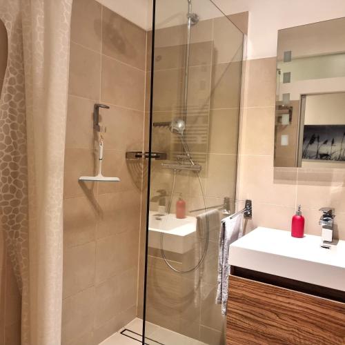 a bathroom with a shower and a sink at Apartment am Rathaus in Quedlinburg