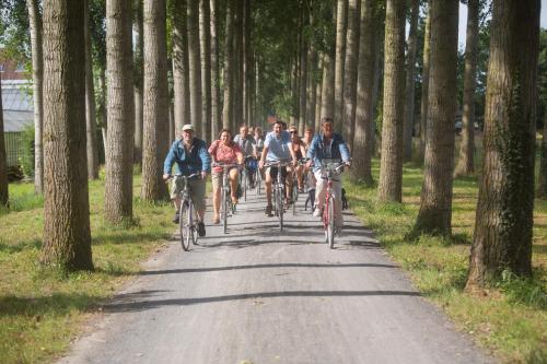 Ridning ved lejligheden eller i nærheden