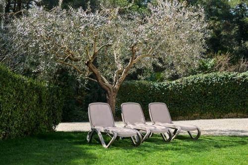 three chairs sitting in the grass in front of a tree at Apartments Martello Garden in Poreč