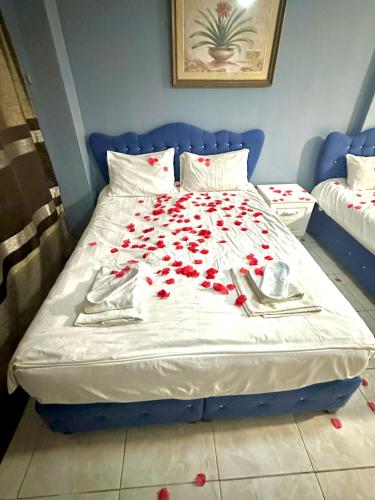 a bed with red rose petals on it at Cendere Old City Hotel in Istanbul