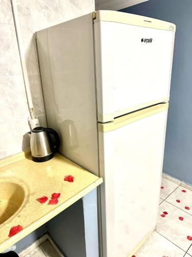 a small kitchen with a refrigerator and a sink at Cendere Old City Hotel in Istanbul