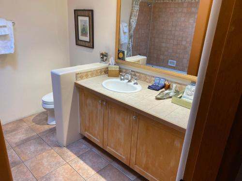 a bathroom with a sink and a toilet at Casa de Tres Lunas/House of Three Moons in Santa Fe