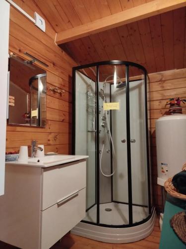 une salle de bain avec douche et lavabo dans l'établissement Chalet confortable à Attin - 36 m² avec jardin, à Attin