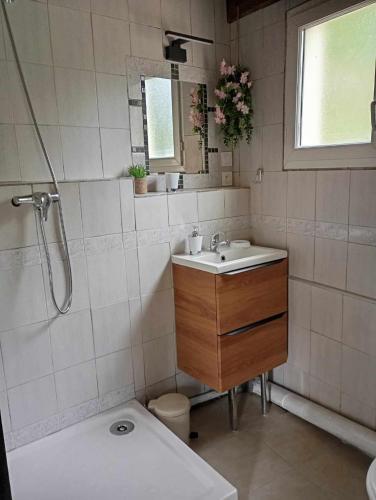 une salle de bain avec un lavabo et une douche dans l'établissement Gîte les coquelicots, à Saint-Sèbastien