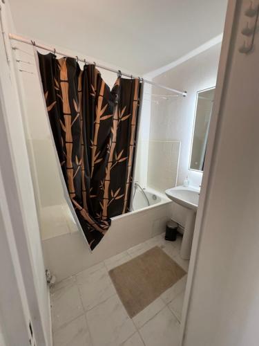 une salle de bain avec un rideau de douche et un lavabo dans l'établissement Appartement bord de mer, à Nice