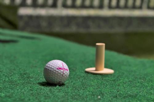 a golf ball and a putter on a putting green at Epic Orlando Mansion-Pool-Game Room-Theater-2 in Orlando