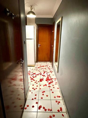 a hallway with a floor covered in red roses at Cendere Old City Hotel in Istanbul