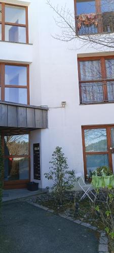 a white building with a tree in front of it at Einzimmerwohnung mit Doppelbett in Nagold