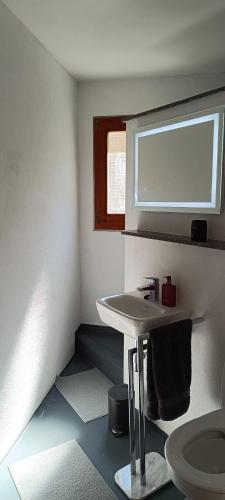 a bathroom with a sink and a mirror at Einzimmerwohnung mit Doppelbett in Nagold