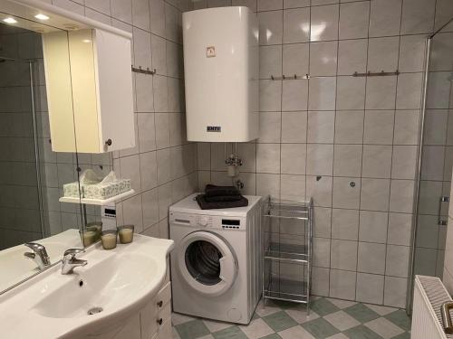 a bathroom with a washing machine and a sink at Ferienwohnung Carlotta - Kärnten Wörthersee in Reifnitz