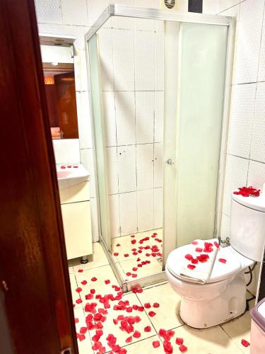 a bathroom with a toilet with red flowers on the floor at Cendere Old City Hotel in Istanbul