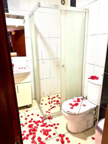 a bathroom with a toilet with red flowers on the floor at Cendere Old City Hotel in Istanbul
