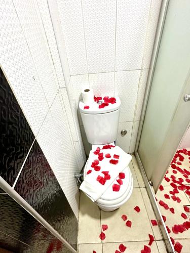 a bathroom with a toilet with red hearts on the floor at Cendere Old City Hotel in Istanbul