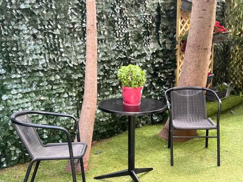 two chairs and a table with a potted plant on it at Artistic & cozy ! Just 5' to seaside in Athens