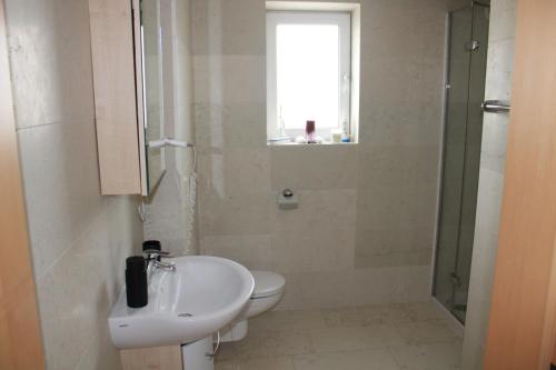 a bathroom with a toilet and a sink and a shower at Villa Venezia in Bad Radkersburg