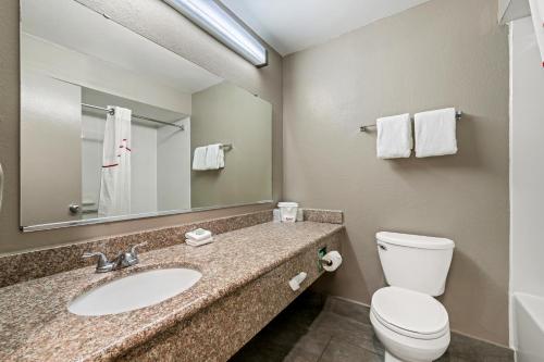 a bathroom with a sink and a toilet and a mirror at Red Roof Inn Charlotte - University in Charlotte