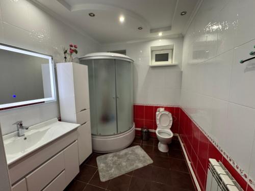a bathroom with a shower and a sink and a toilet at Villa Winery in Cricova