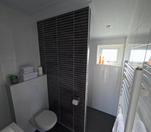 a bathroom with a toilet and a window at Resort Land & Zee in Scharendijke