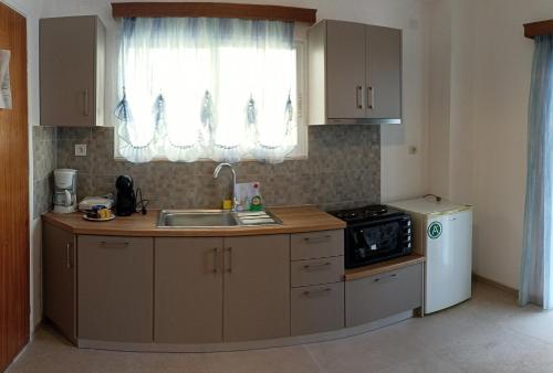 a small kitchen with a sink and a stove at Philoxenia Apartments in Kryonéri