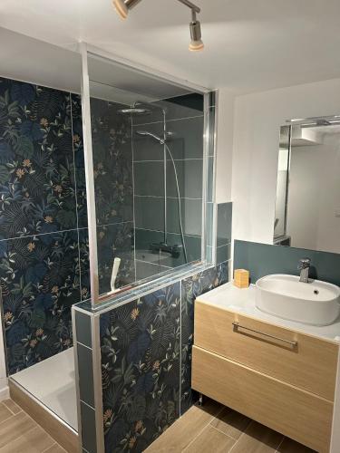 une salle de bain avec un lavabo et une douche en verre dans l'établissement Bel appartement T2 dans maison, à Feyzin