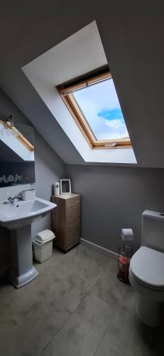 Un baño con tragaluz, inodoro y lavabo. en Ardenlee Self Catering Apartment, en Borve