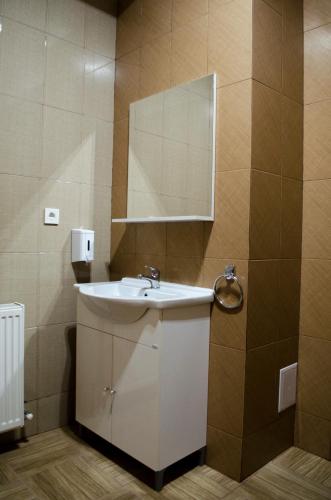 a bathroom with a white sink and a mirror at Mai Danube in Eşelniţa