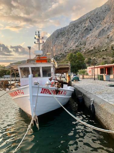 a white boat tied to a dock in the water at Philoxenia Apartments in Kryonéri