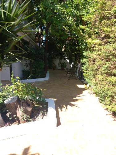 Taman di luar Lenia Studios