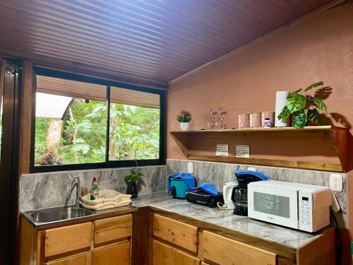 a kitchen with a sink and a microwave on a counter at Cabañas La Montaña in Monteverde Costa Rica