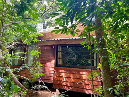 a small house with a window in the woods at Cabañas La Montaña in Monteverde Costa Rica
