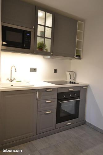 - une cuisine avec des placards gris, un évier et une cuisinière dans l'établissement Gîtes au pied du Haut-Koenigsbourg, à Kintzheim