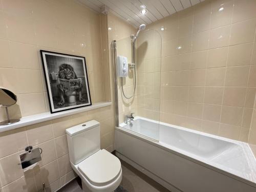 a bathroom with a toilet and a shower and a sink at St Peter's Riverside Apartment Newcastle Quayside Free Parking in Saint Peters