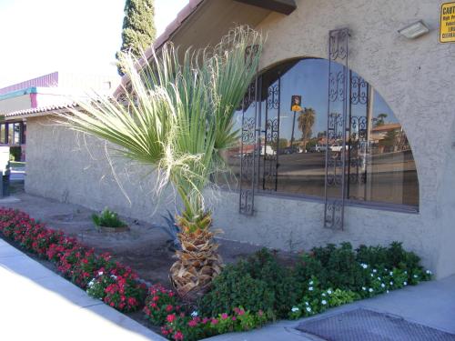 a palm tree and flowers in front of a building at Travelodge by Wyndham Blythe in Blythe
