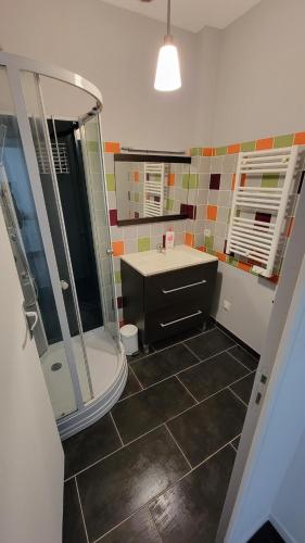 une salle de bain avec douche et lavabo dans l'établissement T1 bis plein pied, à Saumur