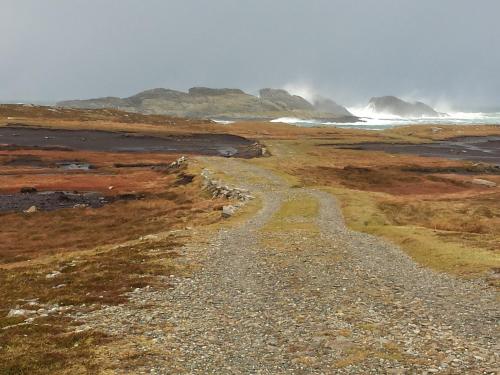 a dirt road leading to a beach with waves at Doonmore Hotel, Bar & Restaurant in Inishbofin